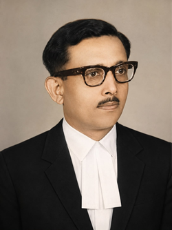 Hon’ble Mr. Justice Shiv Anugrah Narayan